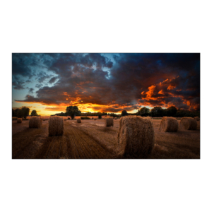 Панель для видеостены SAMSUNG 55" VM55B-U