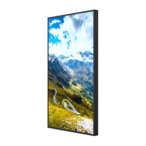 Информационный дисплей Hisense 55" 55WF45H