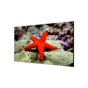 Дисплей для видеостен Hikvision 55" DS-D2055LR-G
