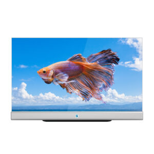 Прозрачный интерактивный дисплей 55" BOE OT55T-A1
