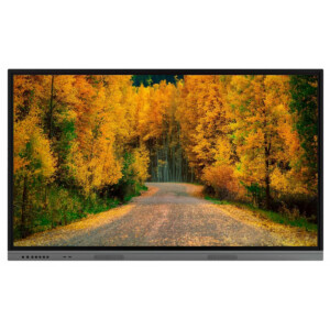 Интерактивный дисплей BOE 75" P75DE-CMRE