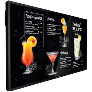 Информационный дисплей PHILIPS 43" 43BDL3117P/00